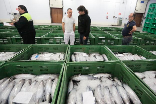 Gijón y Avilés subastan los últimos 45.282 kilos de bonito de la temporada
