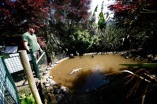 El zoo El Bosque reúne 5.600 firmas de apoyo para la mejora de sus accesos