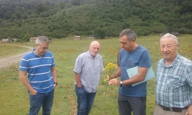 Cincuenta voluntarios ayudarán el jueves a arrancar la flor de Santiago en Brañagallones