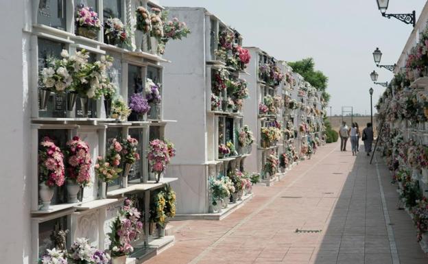 Profanan varias tumbas de madrugada en un cementerio de Sevilla