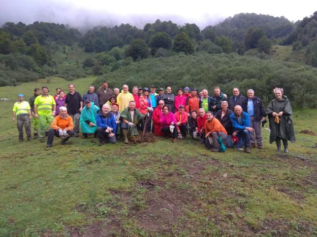 Por una vega de Brañagallones verde