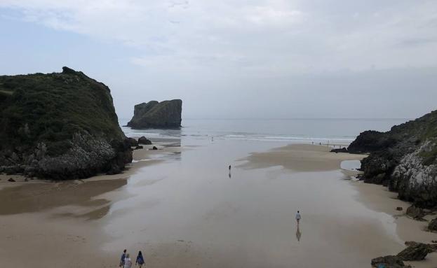 Aparece un delfín varado en la playa de San Martín, en Llanes