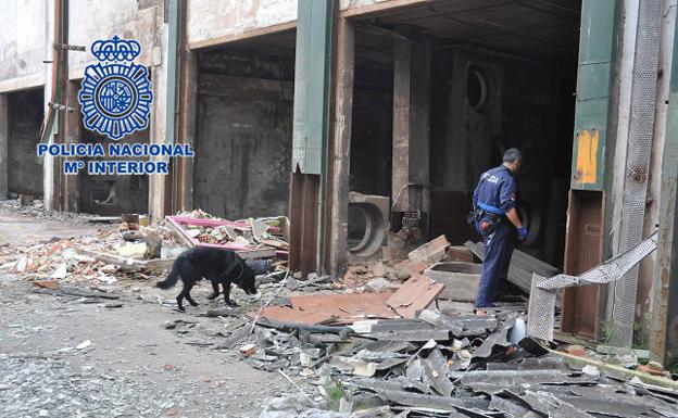 La unidad canina de la Policía Nacional se suma a la búsqueda de la vecina de Contrueces desaparecida hace dos meses