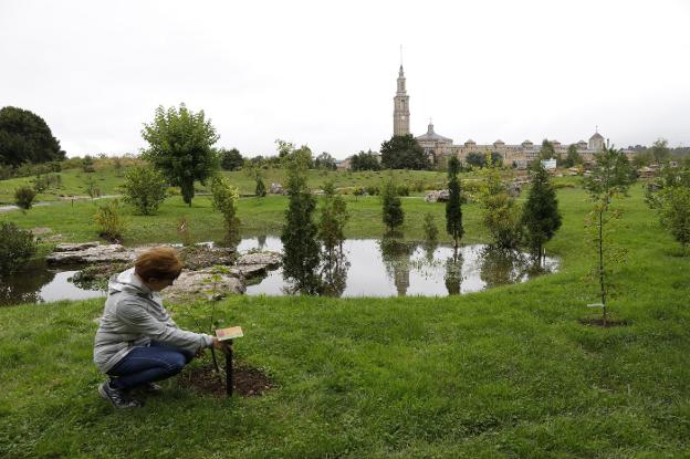 El Botánico crece con el nuevo bioma boreal y el laberinto vegetal
