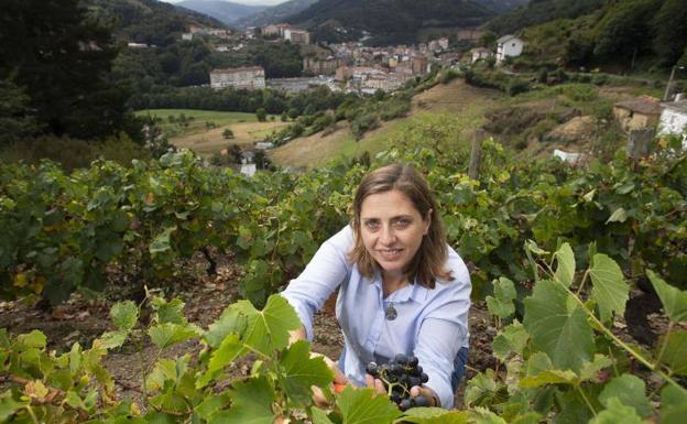 La tierra asturiana del vino, en su esplendor