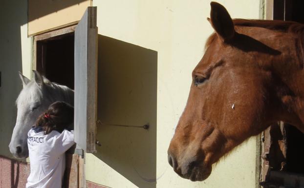 El Ayuntamiento de Oviedo se enfrenta al pago de hasta 12 millones en cotizaciones a sus trabajadores