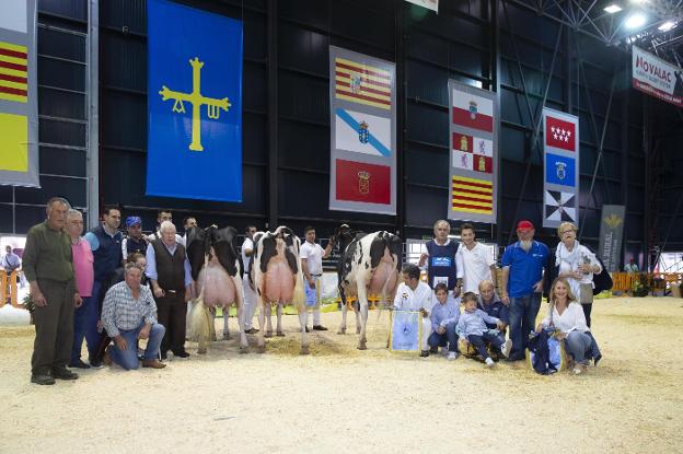 Triple corona para la ganadería Badiola