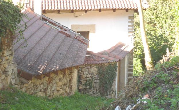 Culpan al oso del ataque a dos burros y los daños en una capilla de Somiedo