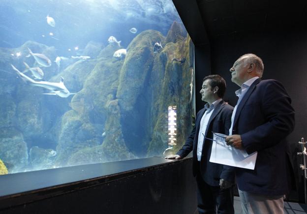 Rain Forest invertirá 2,7 millones para convertir el Acuario en «un referente»