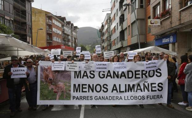 Los ganaderos protestan en Infiesto por la expansión del lobo