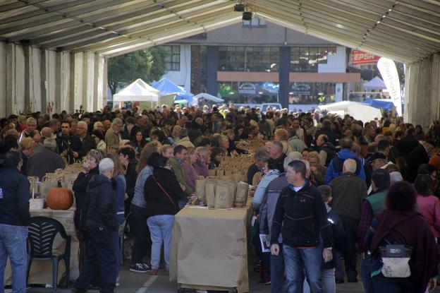 La avellana, el «futuro» de Piloña