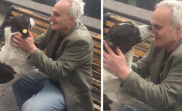 Un perro llora al reencontrarse con su dueño tras pasar varios años en la calle