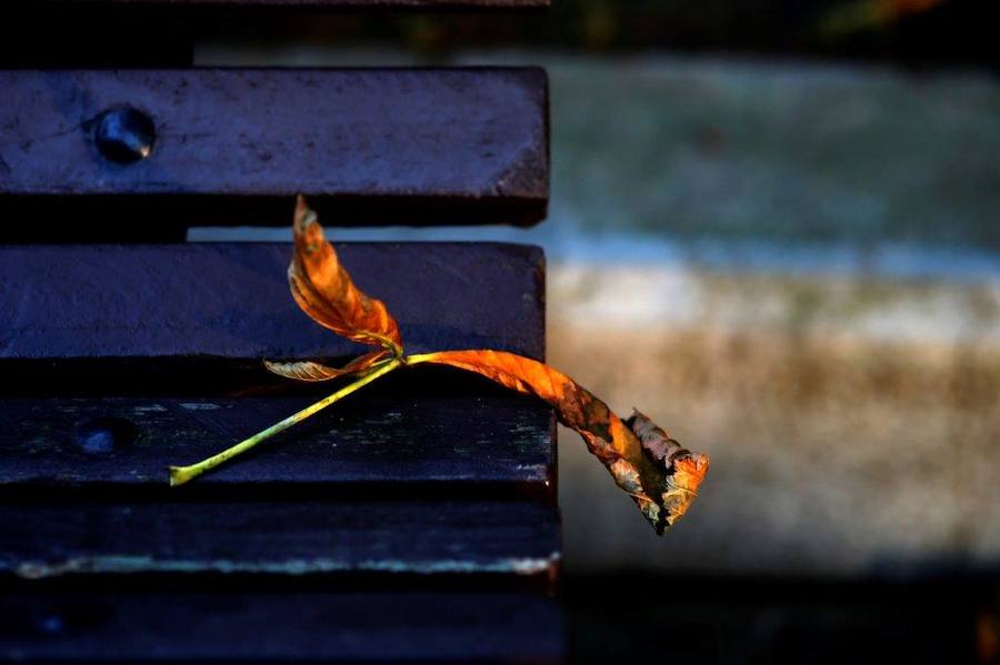 Así luce el otoño en Asturias