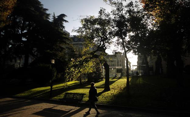 Ocho empresas optan a la renovación del Campo de San Francisco