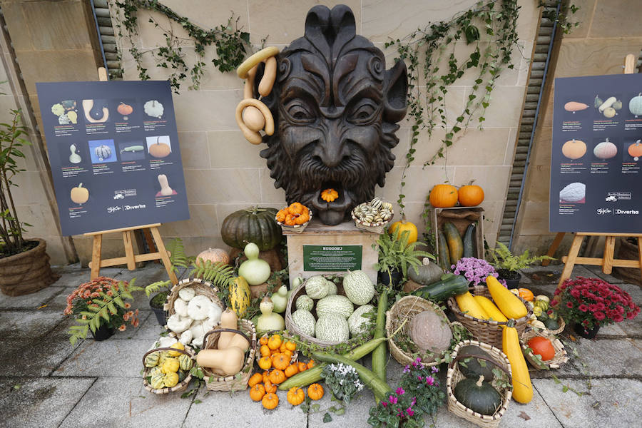 Terroríficas calabazas en el Botánico