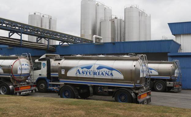 Capsa anuncia 13 despidos por la «pérdida de clientes y actividad» en el sector del yogur