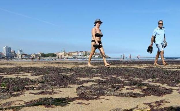 Noviembre, más seco y soleado de lo normal por el cambio del viento