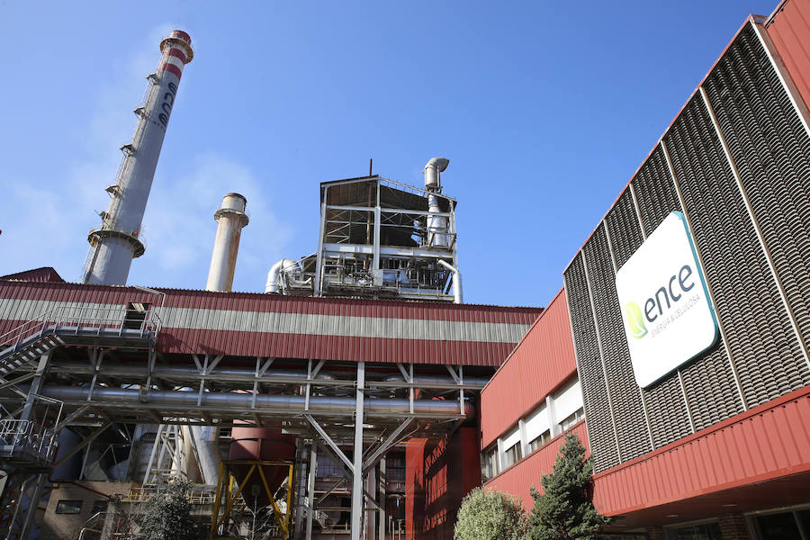 Ence sustituirá a Día en el IBEX a partir del 24 de diciembre