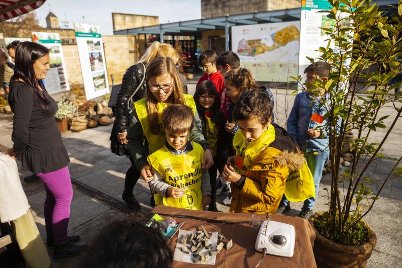 Diversión navideña en el Botánico de Gijón