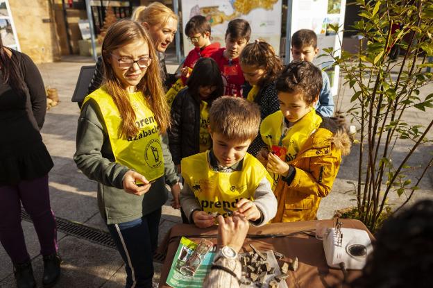Azabache junto al portal en el Botánico