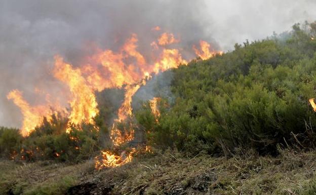 Ocho municipios asturianos, en riesgo alto de incendios forestales este sábado