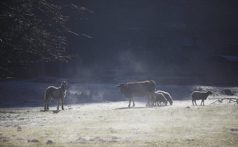 Asturias se hiela con mínimas de cinco grados bajo cero
