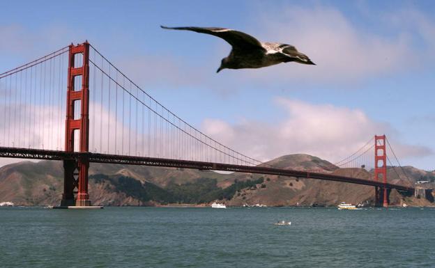 Suculenta oferta de empleo: vivir en una isla y cuidar de un faro centenario por más de 100.000 euros al año