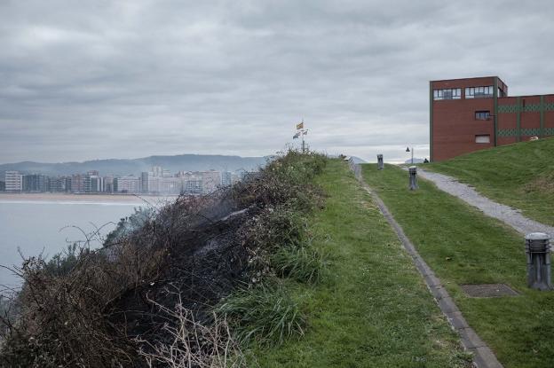 Los bomberos sofocan un incendio en la ladera del cerro de Santa Catalina