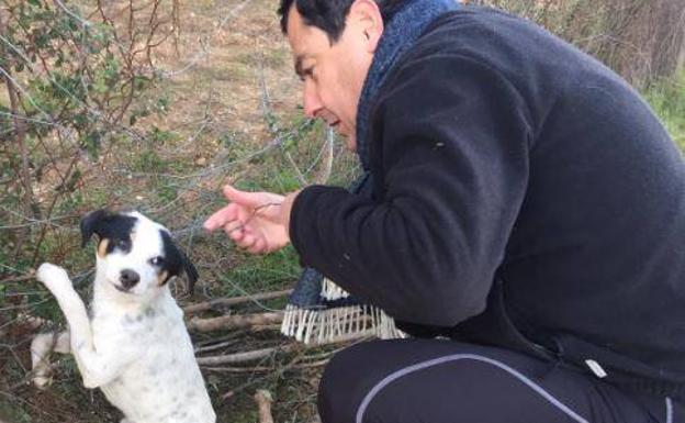 Pérez-Reverte: «Sería bueno que recordara a ese perrito cuando empiece a legislar para Andalucía»