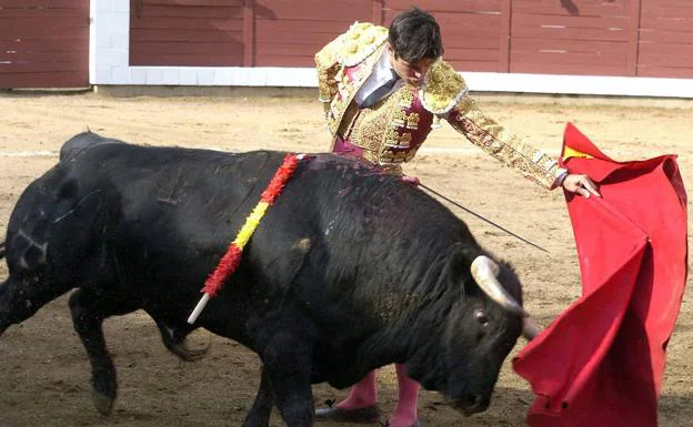 Los toros podrían regresar a Cataluña