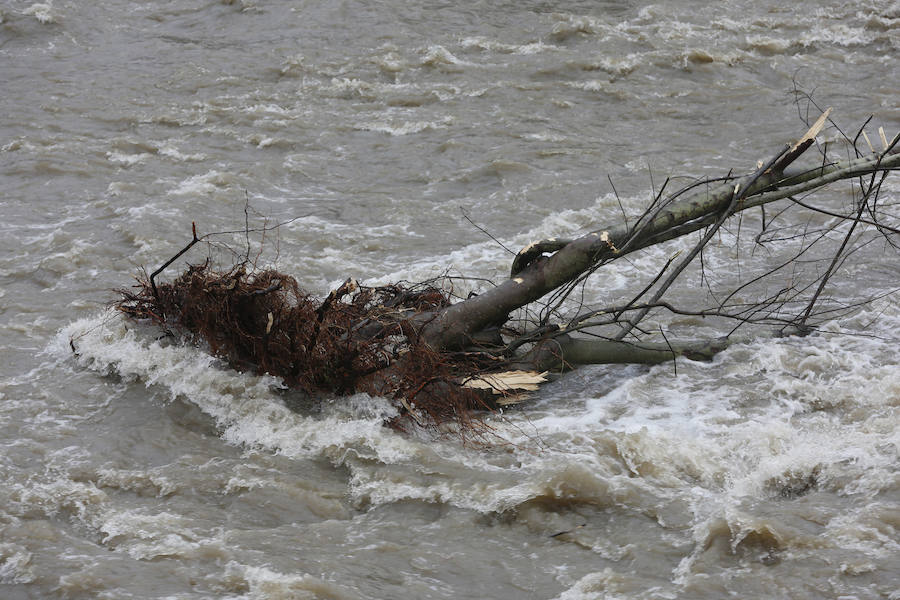 Los destrozos que deja el desbordamiento del Nalón