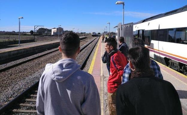 El Talgo Badajoz-Madrid arrolla a un rebaño de ovejas en Toledo