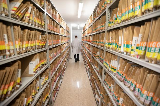 Las enfermedades respiratorias leves, las patologías más diagnosticadas en la comarca