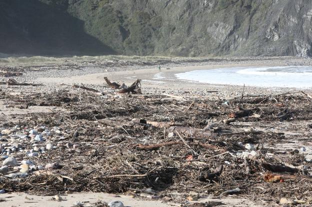 Toneladas de madera y restos de basura cubren casi al completo el playón de Bayas