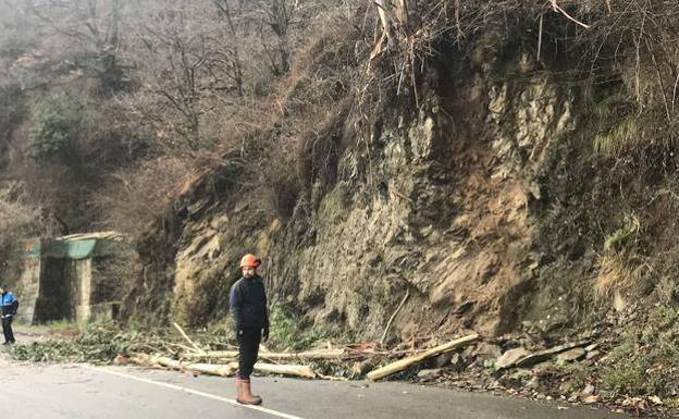 Un torrente amenaza la reparación del argayo de la AS-117 en Blimea