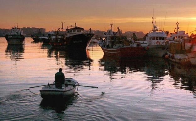 La Eurocámara da luz verde al nuevo tratado de pesca con Marruecos