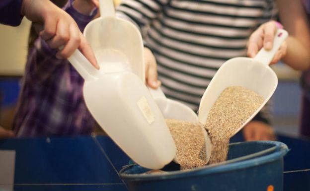 ¿Qué hacer en Asturias este sábado?