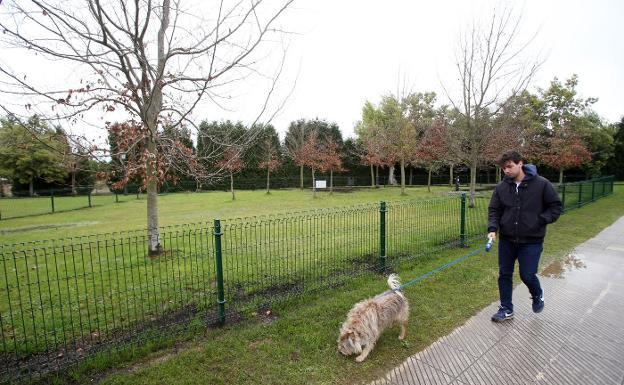 Encuesta: ¿Debería destinarse inversión pública para adaptar las ciudades a los perros?