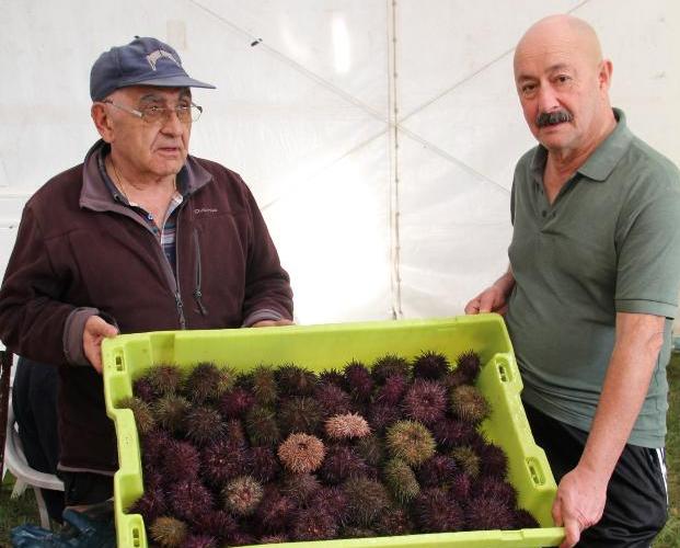 El festival de Bañugues saca a la venta más de dos mil kilos de oricios, a 16 euros la docena