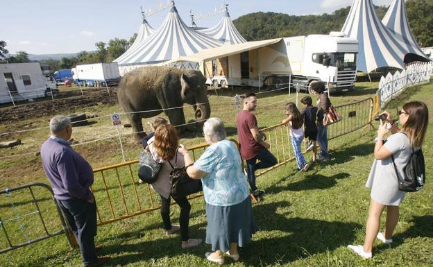 Asturias prohibirá los circos con animales, pero no los espectáculos taurinos