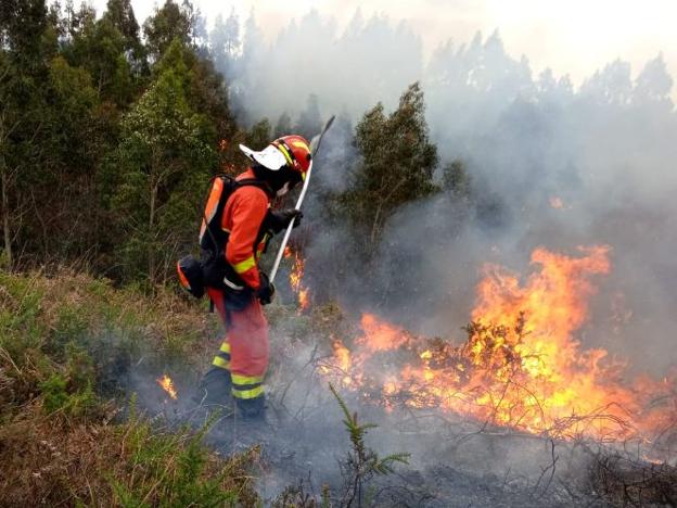 Incendios en Asturias | 300 efectivos y 7 aeronaves luchan contra 50 incendios en Asturias