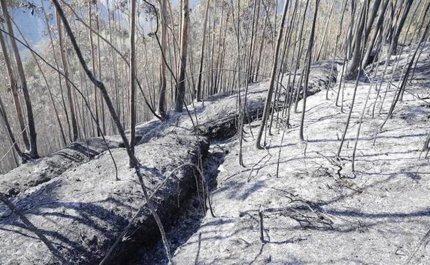 Incendios en Asturias: El fuego arrasa la vegetación y deja al descubierto antiguas trincheras de la Guerra Civil