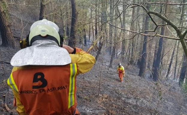 La ola de incendios de este mes en Asturias quemó más terreno que todos los fuegos del año pasado