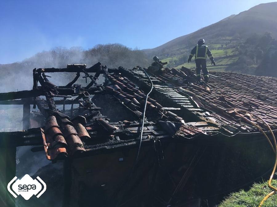 Las imágenes del incendio que calcinó un pajar en Quirós