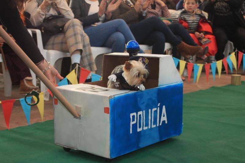 Las mascotas, protagonistas en el carnaval de Cangas de Onís