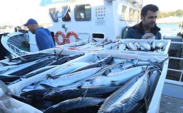 Los pescadores repartirán xarda en protesta por la cuota