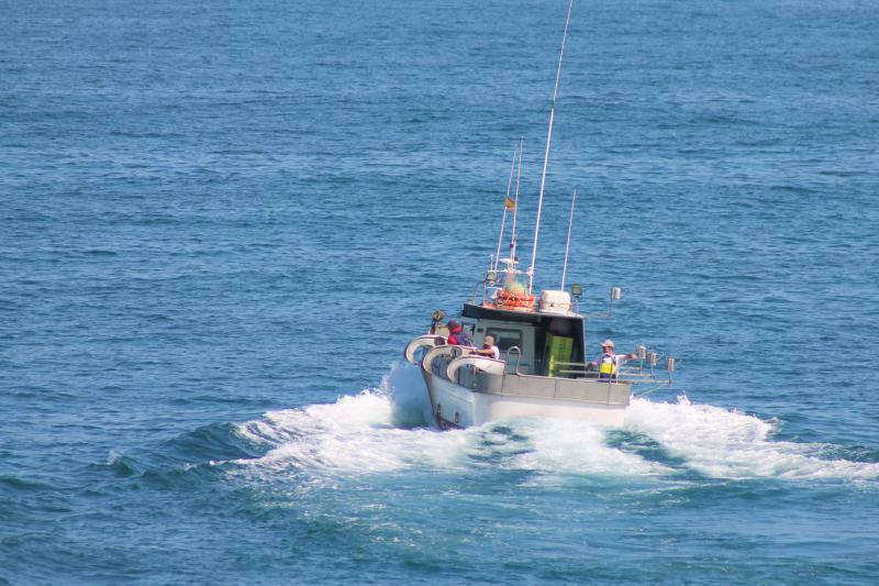 Pescadores del Cantábrico, en guerra por la xarda