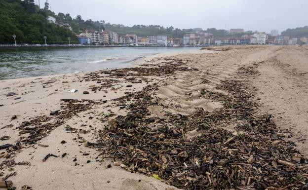 La limpieza de las playas de Los Quebrantos y Santa Marina comenzará mañana