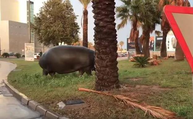 «¿Qué es esto, socio? ¡Un hipopótamo en la rotonda del Eroski!