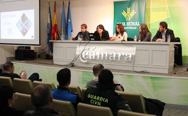 El sector turístico de la comarca encuentra oportunidades de negocio en el Camino de Santiago